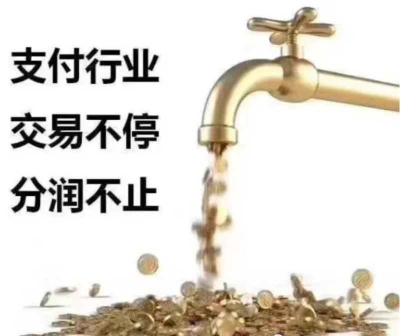 POS机行业的魅力